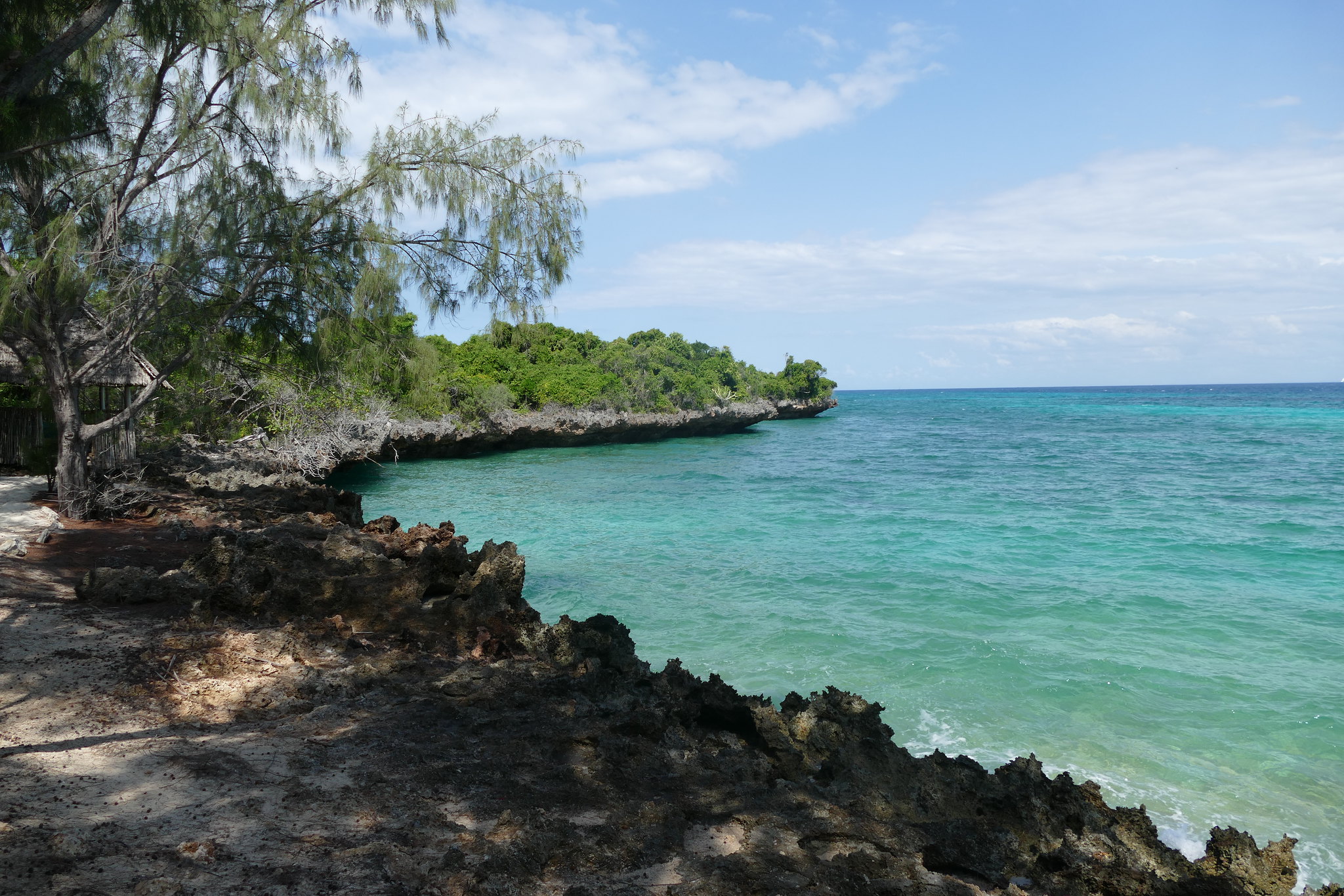 Coral Beach Nature Reserve