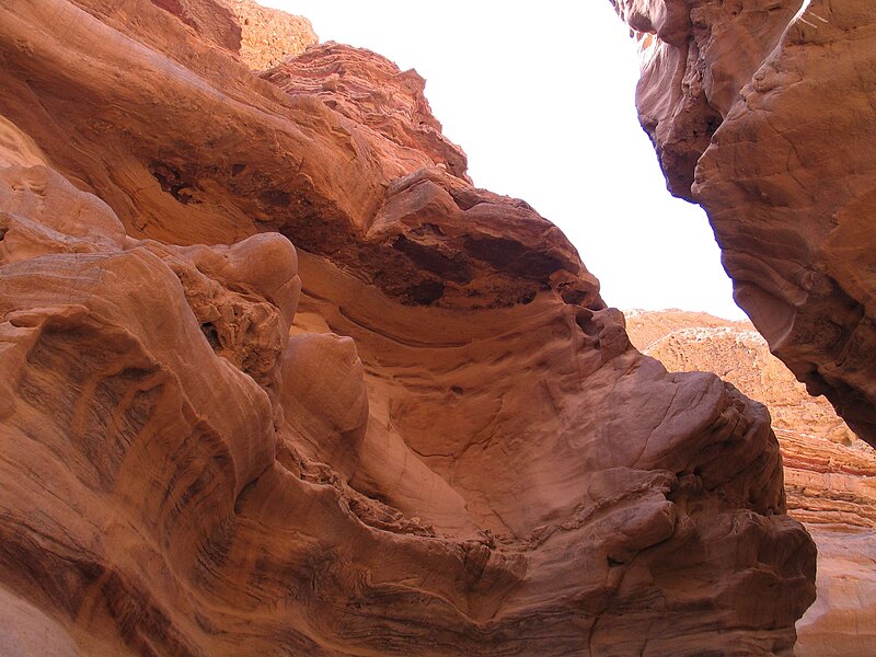 Red Canyon